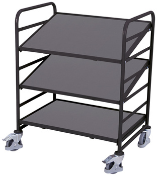 Wózek na EURO-skrzynki z 3 półkami z płyty drewnopodobnej VARIOfit sw-610.201/AG